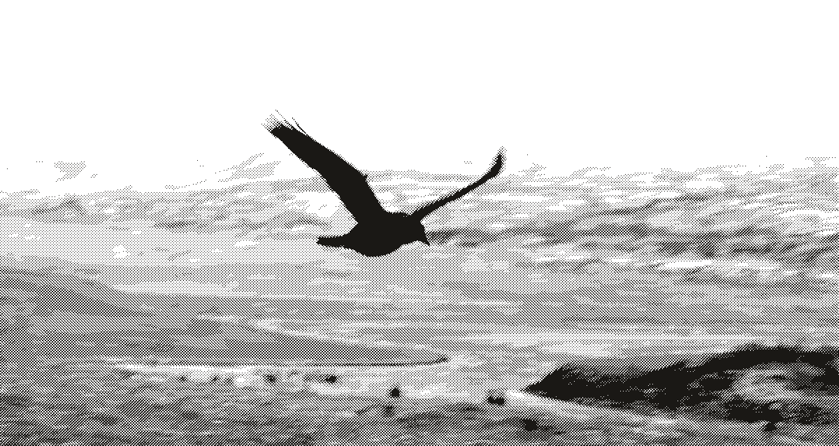 A bird in flight over a snow-covered range