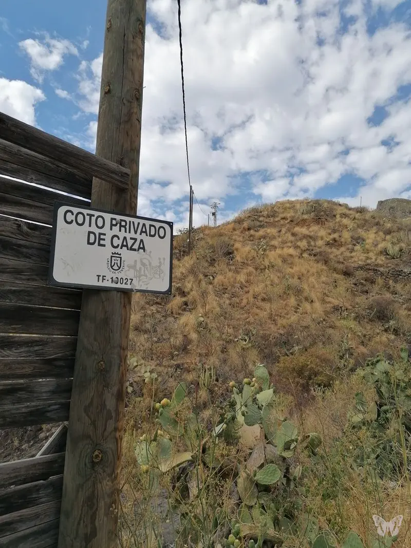 Canyon