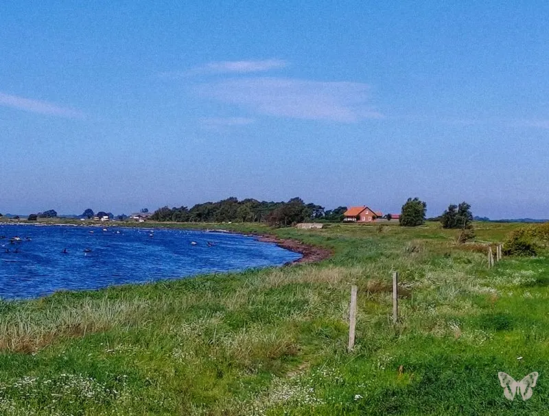 Lake