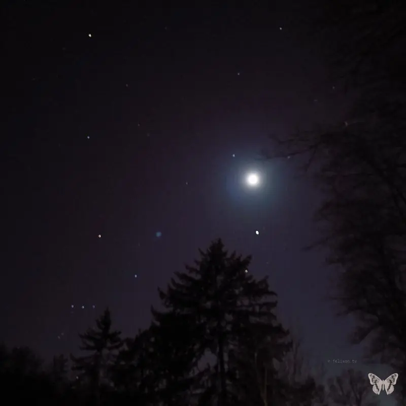 Nightview