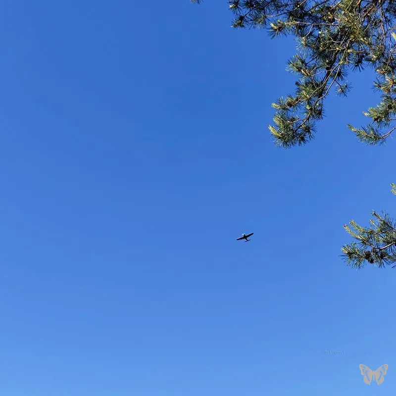 Plane