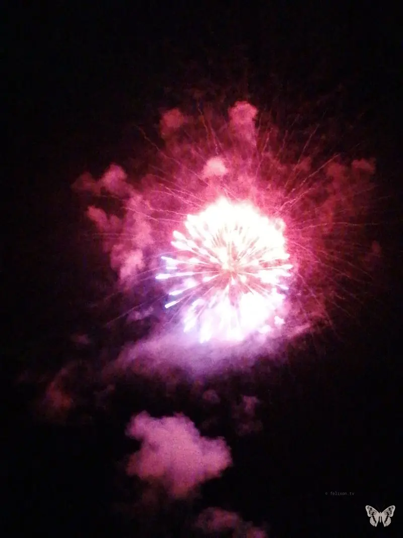 Silvester